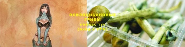 тгк Бугульма