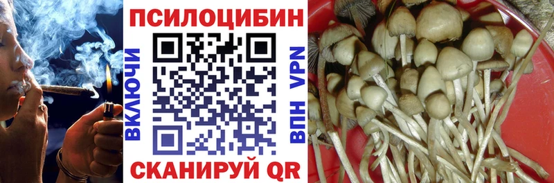закладки  Катайск  Галлюциногенные грибы мухоморы 